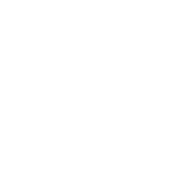 server (1)